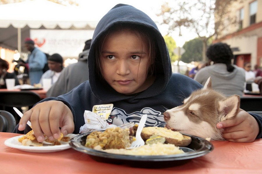 11月21日，加州洛杉磯的游民巷，12歲的堂娜·赫南德茲抱著愛犬“湯米”，安靜地吃著免費(fèi)的感恩節(jié)飯菜