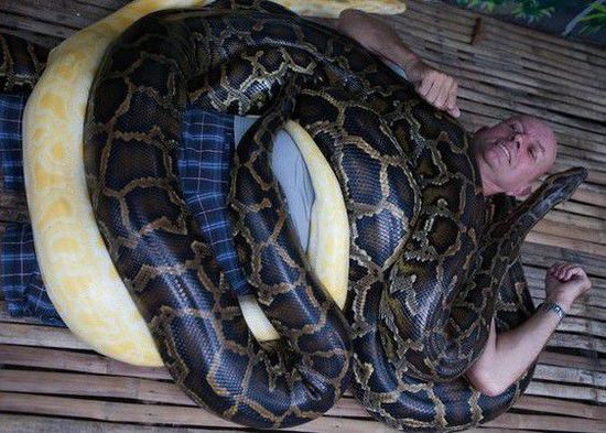 菲律賓一家動(dòng)物園為游客提供蟒蛇按摩服務(wù)。