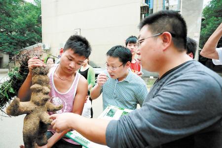 長沙工地挖出“人形何首烏” 專家辟謠稱價(jià)值不大