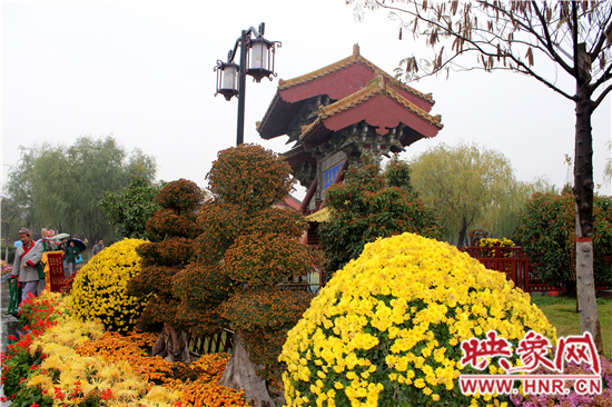 天好、花美 中國(guó)開封第32屆菊花文化節(jié)延長(zhǎng)一周