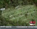 “垃圾場”拍婚紗：玩噱頭還是做環(huán)保？