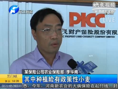 冰雹惹禍 損失能索賠嗎？
