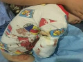 猛獸出沒(méi) 注意！2歲男童在動(dòng)物園被白虎咬掉右臂