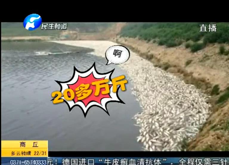 20萬斤魚翻肚因缺氧？