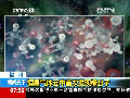 恒星氣體云中首次發(fā)現糖分子